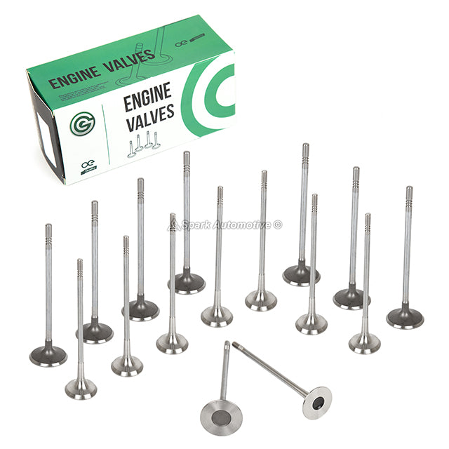 Head Gasket Set Intake Exhaust Valves Fit 09-11 Chevrolet Aveo Pontiac G3 1.6L