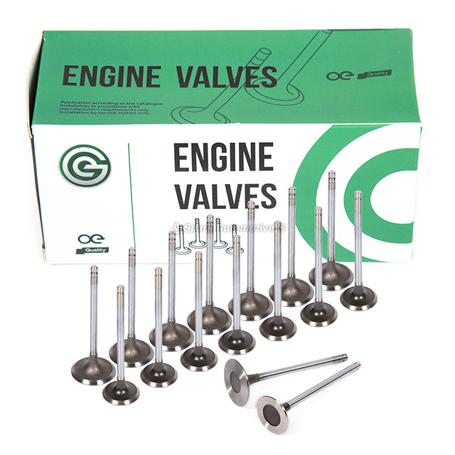 Full Gasket Set Intake Exhaust Valves Fit 96-01 Toyota 4Runner T1000 2.7 3RZFE