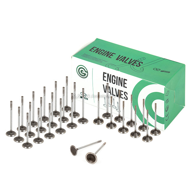 Head Gasket Set Intake Exhaust Valves Fit 06-11 Ford F-53 30V 6.8