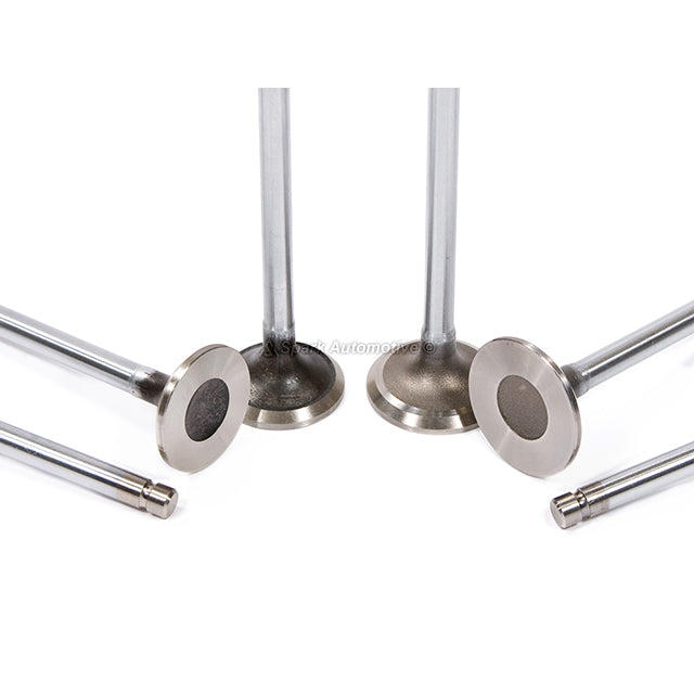 MLS Head Gasket Set Intake Exhaust Valves Fit 90-01 Acura Integra B18A1 B18B1