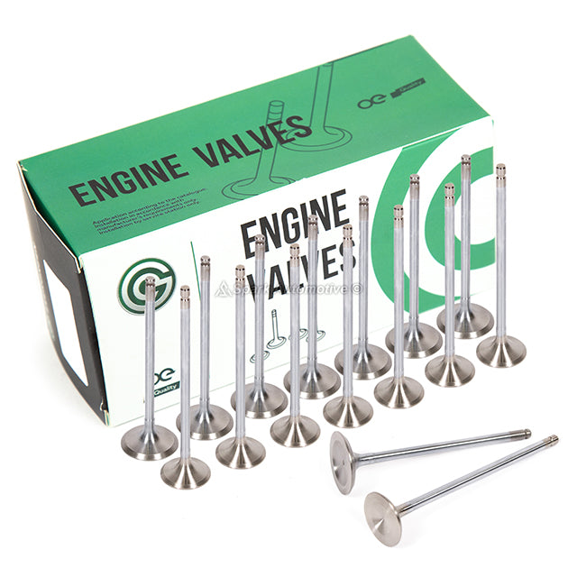 MLS Full Gasket Set Intake Exhaust Valves Fit 91-96 Honda 2.2L F22A1 F22A6 F22A4