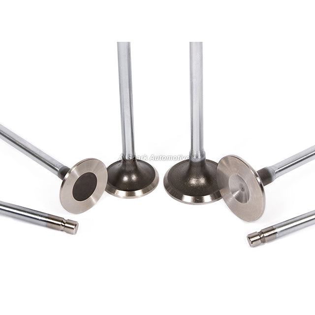 Head Gasket Set Intake Exhaust Valves Fit 92-95 Honda Civic D15B1 D15B7 D16A6