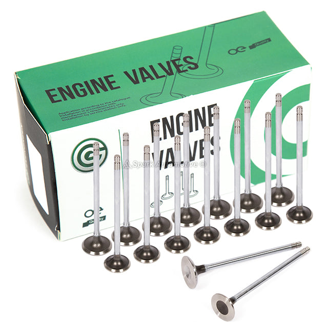 Head Gasket Set Intake Exhaust Valves Fit 92-95 Honda Civic D15B1 D15B7 D16A6