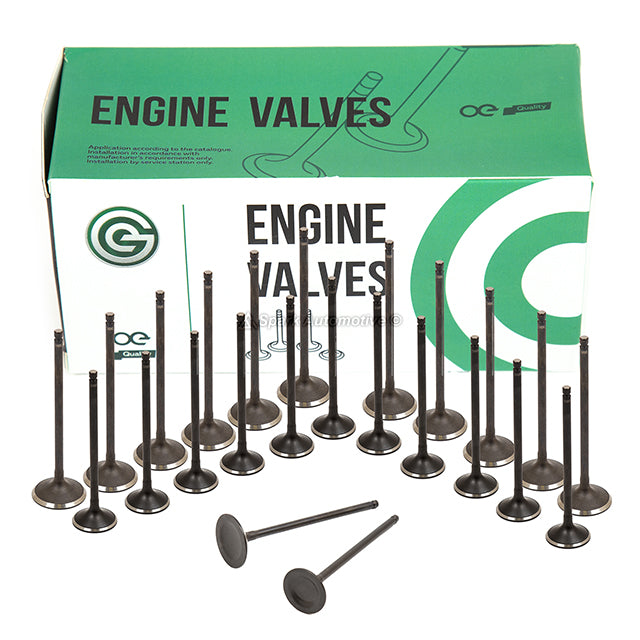 Full Gasket Set Intake Exhaust Valves Fit 06-07 Honda Accord V6 3.0 SOHC J30A5