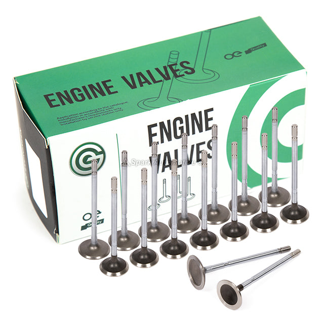 Full Gasket Set Intake Exhaust Valves Fit 95-00 Plymouth Dodge Chrysler 2.4L