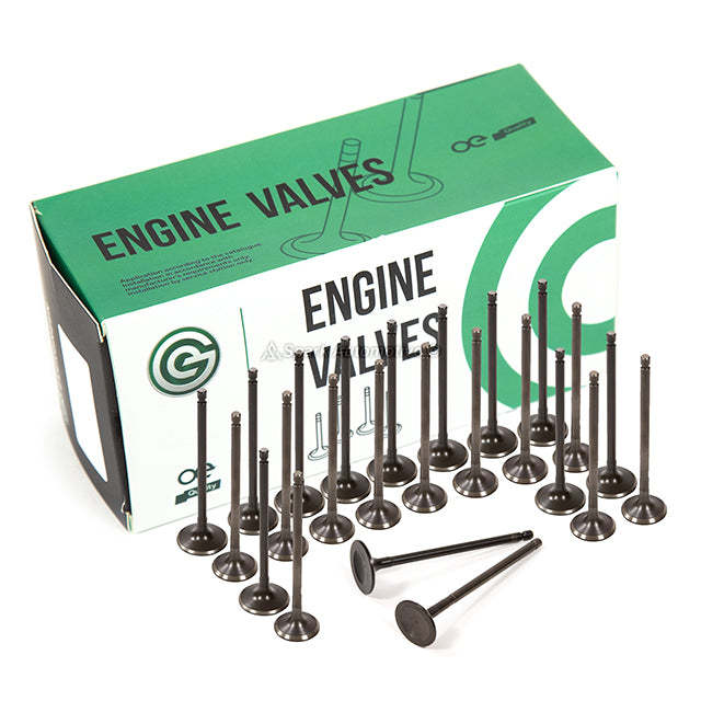 Head Gasket Set Intake Exhaust Valves Fit 95-98 Mitsubishi Montero 3.5