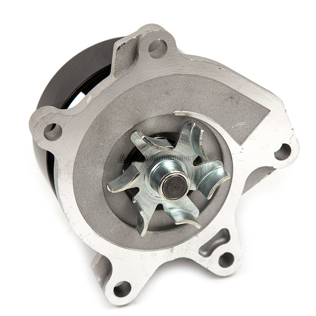 Timing Chain Kit Water Pump Fit 12-13 Nissan Juke 13-17 Sentra 1.6L L4 DOHC