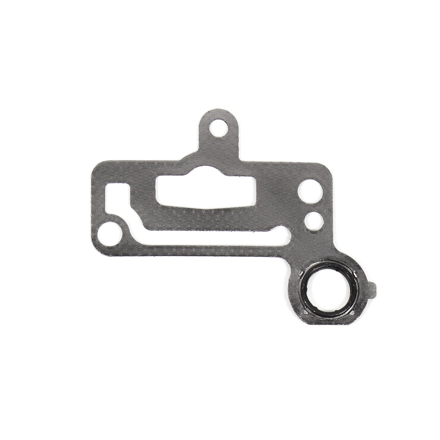 EGR Gasket