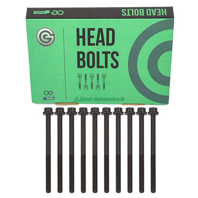 Head Gasket Set Intake Exhaust Valves Fit 2007 Ford Focus DURATEC 2.0 DOHC