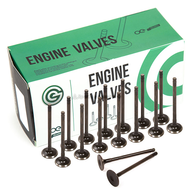 Head Gasket Set Intake Exhaust Valves Fit 06-08 Chevrolet Aveo Aveo5 1.6L DOHC