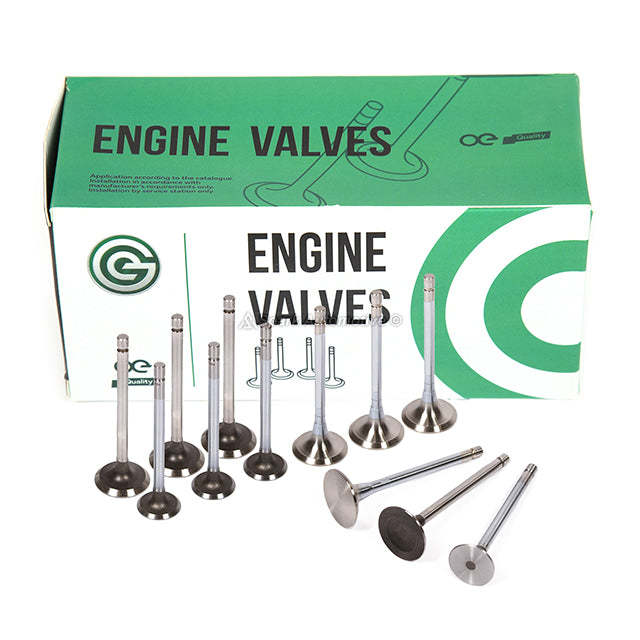 Head Gasket Set Intake Exhaust Valves Fit 87-94 Toyota Tercel 1.5L SOHC 3E 3EE