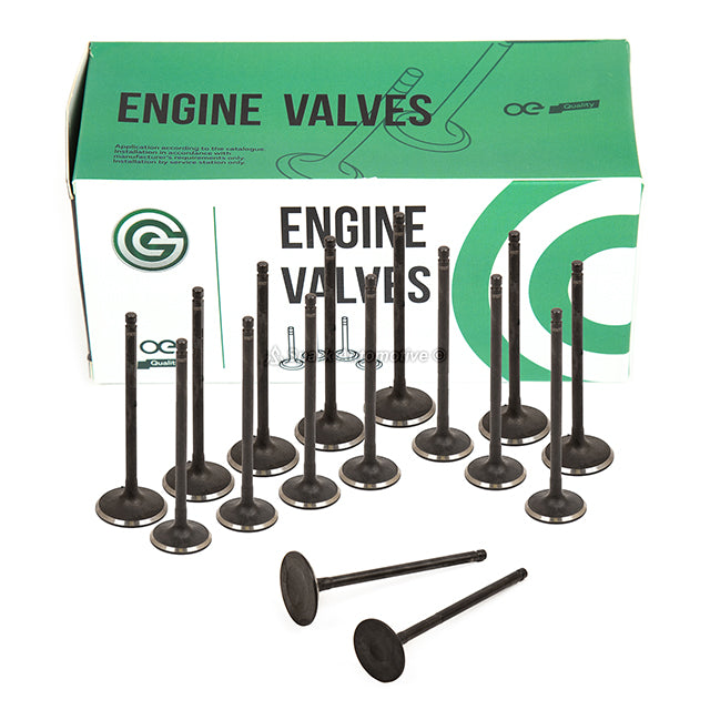 Full Gasket Set Intake Exhaust Valves Fit 04/05/04-06 Ford Focus 2.0 2.3 DOHC