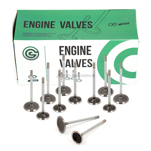 Head Gasket Set Intake Exhaust Valves Fit 99-03 Ford Windstar V6 3.8 OHV VIN 4