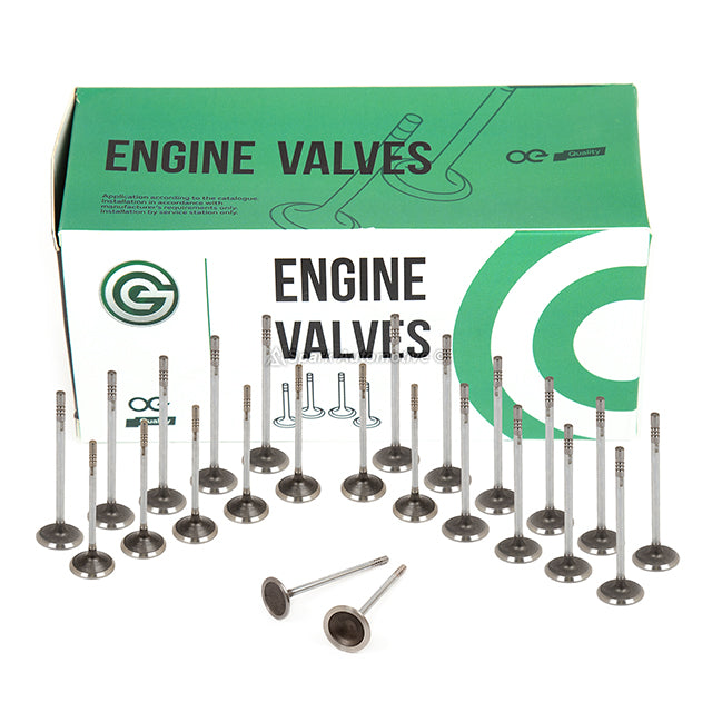 Head Gasket Set Intake Exhaust Valves Fit 07-12 Ford 5.4L TRITON 3-VALVE SOHC