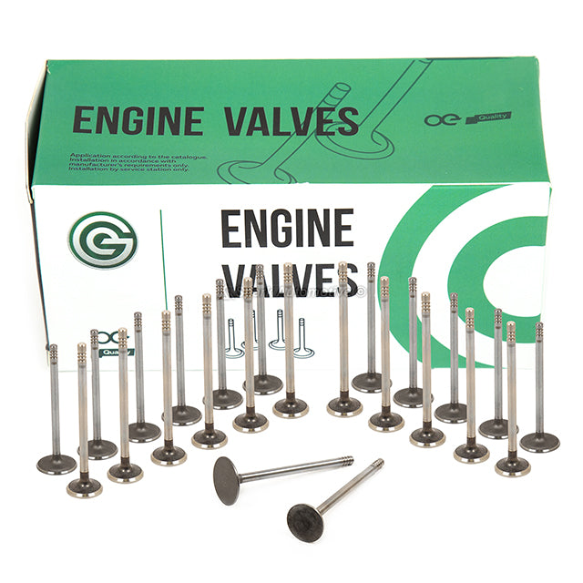 Head Gasket Set Intake Exhaust Valves Fit 99-06 Chysler 300 Pacifica Dodge 3.5L