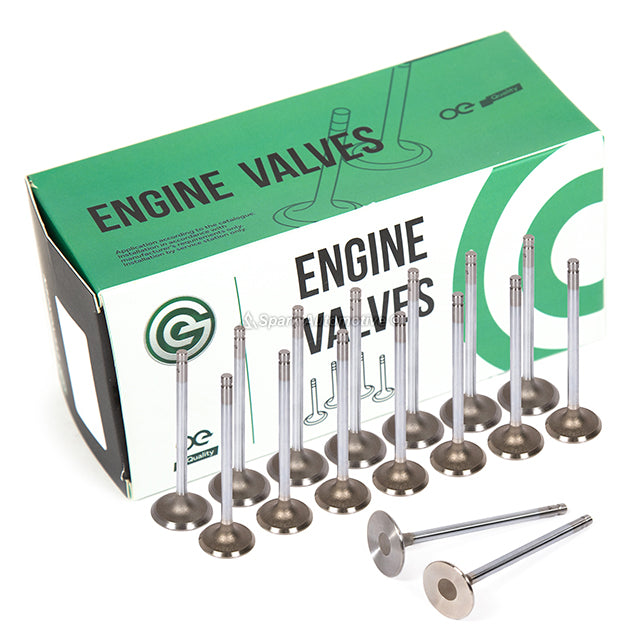 Head Gasket Set Intake Exhaust Valves Fit 95-98 Nissan 200SX 2.0