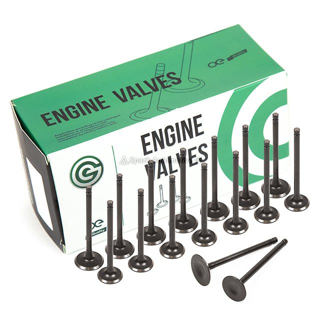 Head Gasket Set Valves Timing Belt Kit Fit 94-97 Honda Acura 2.2L SOHC F22B1