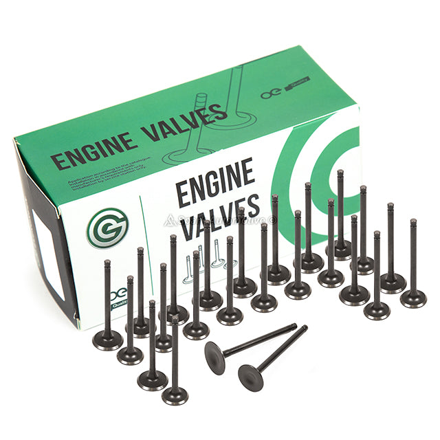 Full Gasket Set Intake Exhaust Valves Fit 1999 Acura TL V6 3.2 SOHC 24V J32A1