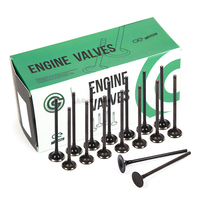 Head Gasket Set Valves Timing Belt Kit Fit 01-05 Honda Civic 1.7L D17A2 D17A6