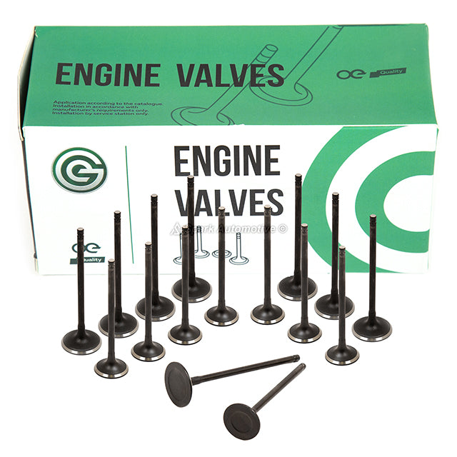 Head Gasket Set Intake Exhaust Valves Fit 06-09 Hyundai Kia 2.4 DOHC G4KC