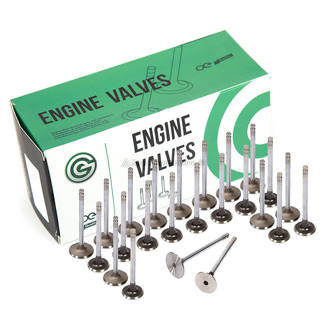 Head Gasket Set Intake Exhaust Valves Fit 93-02 Mazda 626 MX-6 Ford 2.5 DOHC KL