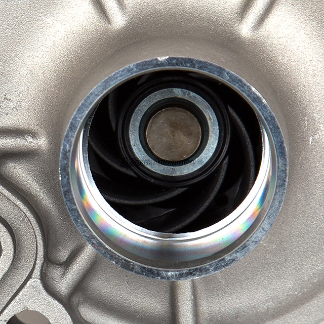 Timing Chain Kit Water Pump Fit 14-19 Mazda 3 6 CX-5 CX-9 2.5L DOHC 16V